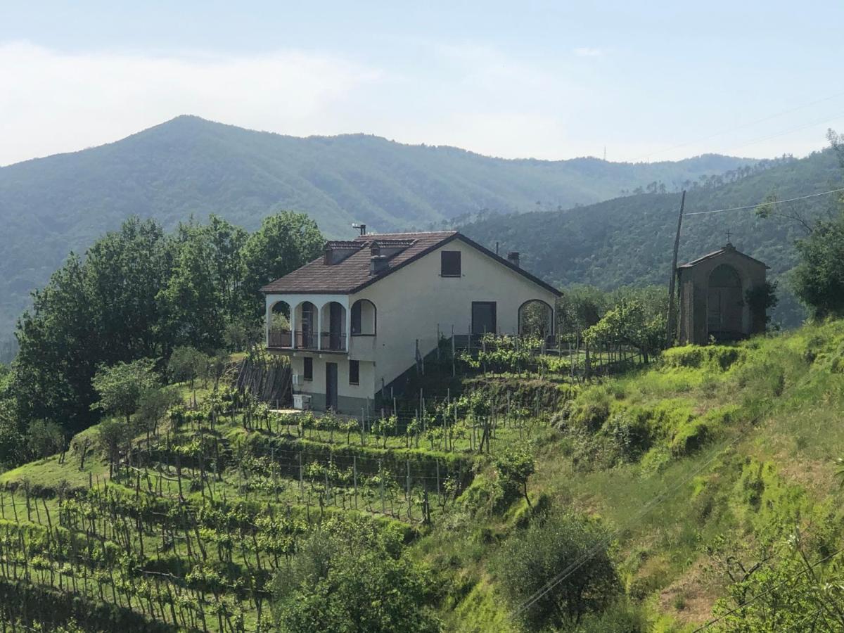 Villa Elena Mezzanego Eksteriør bilde