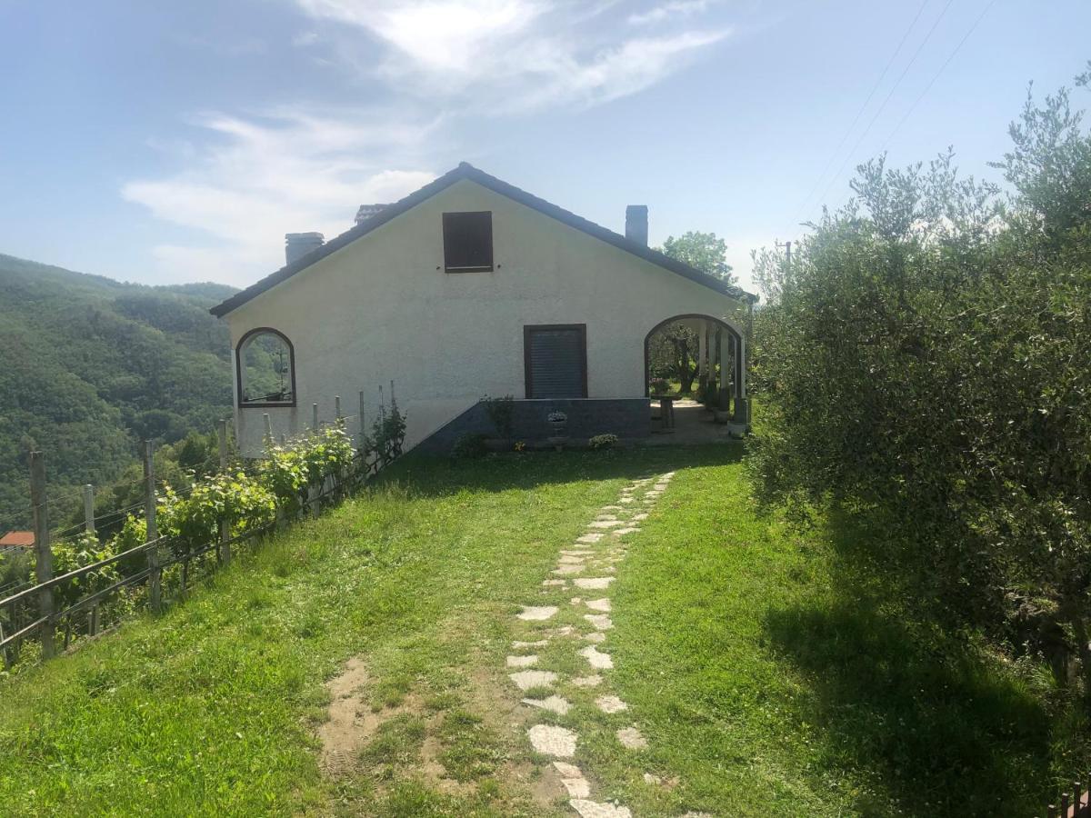 Villa Elena Mezzanego Eksteriør bilde