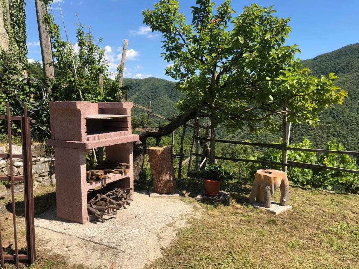 Villa Elena Mezzanego Eksteriør bilde