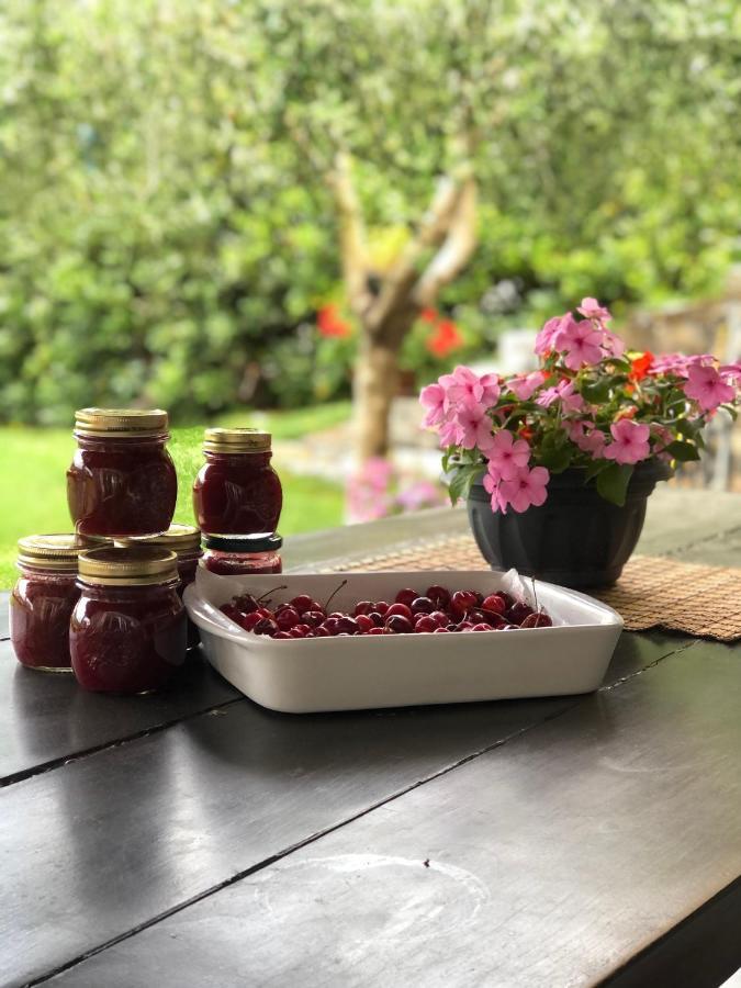 Villa Elena Mezzanego Eksteriør bilde