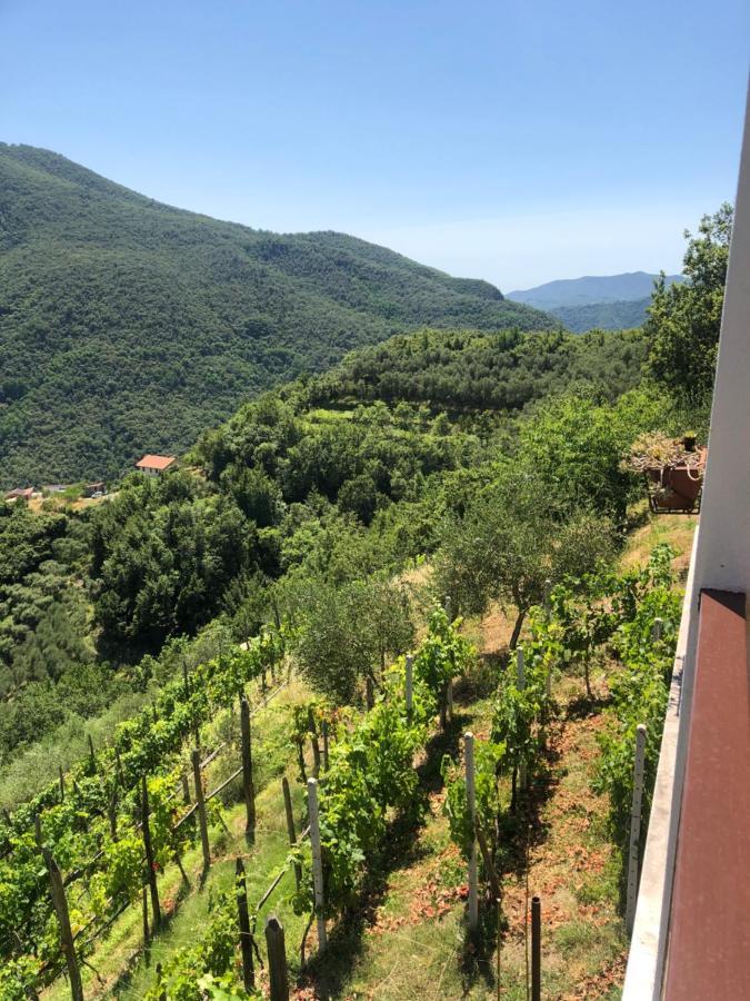 Villa Elena Mezzanego Eksteriør bilde