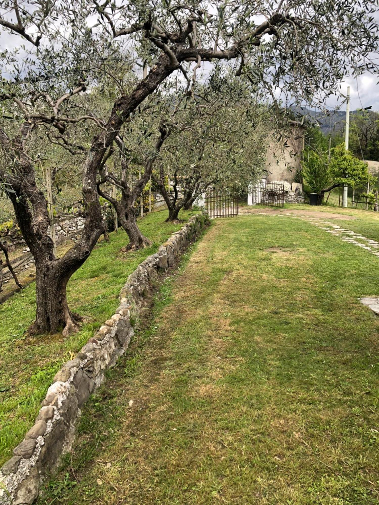 Villa Elena Mezzanego Eksteriør bilde